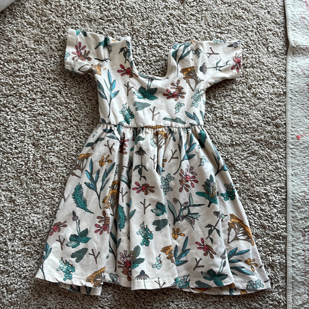 Alice in Ames dress